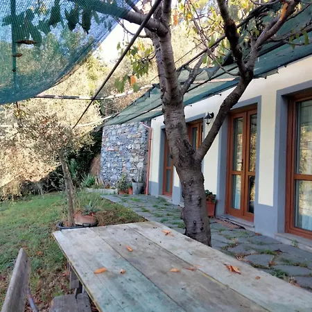 Arca Di Ne 住宿加早餐酒店 Terisso