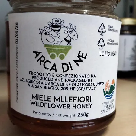 Arca Di Ne