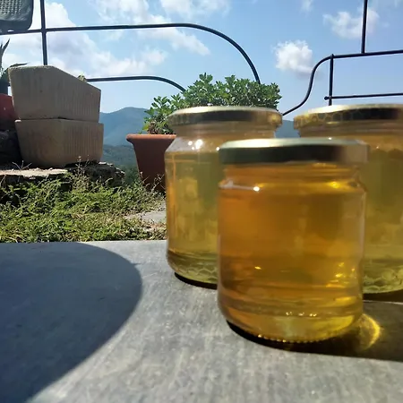 Alojamento de Acomodação e Pequeno-almoço Arca Di Ne Terisso