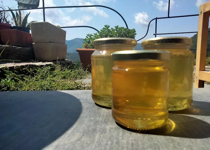 Alojamento de Acomodação e Pequeno-almoço Arca Di Ne Terisso